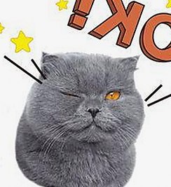 解析娱乐圈视听盛宴背后的产业变革与观众期待