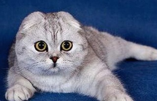 贾青：实力派演员背后的低调人生与外界期待的落差